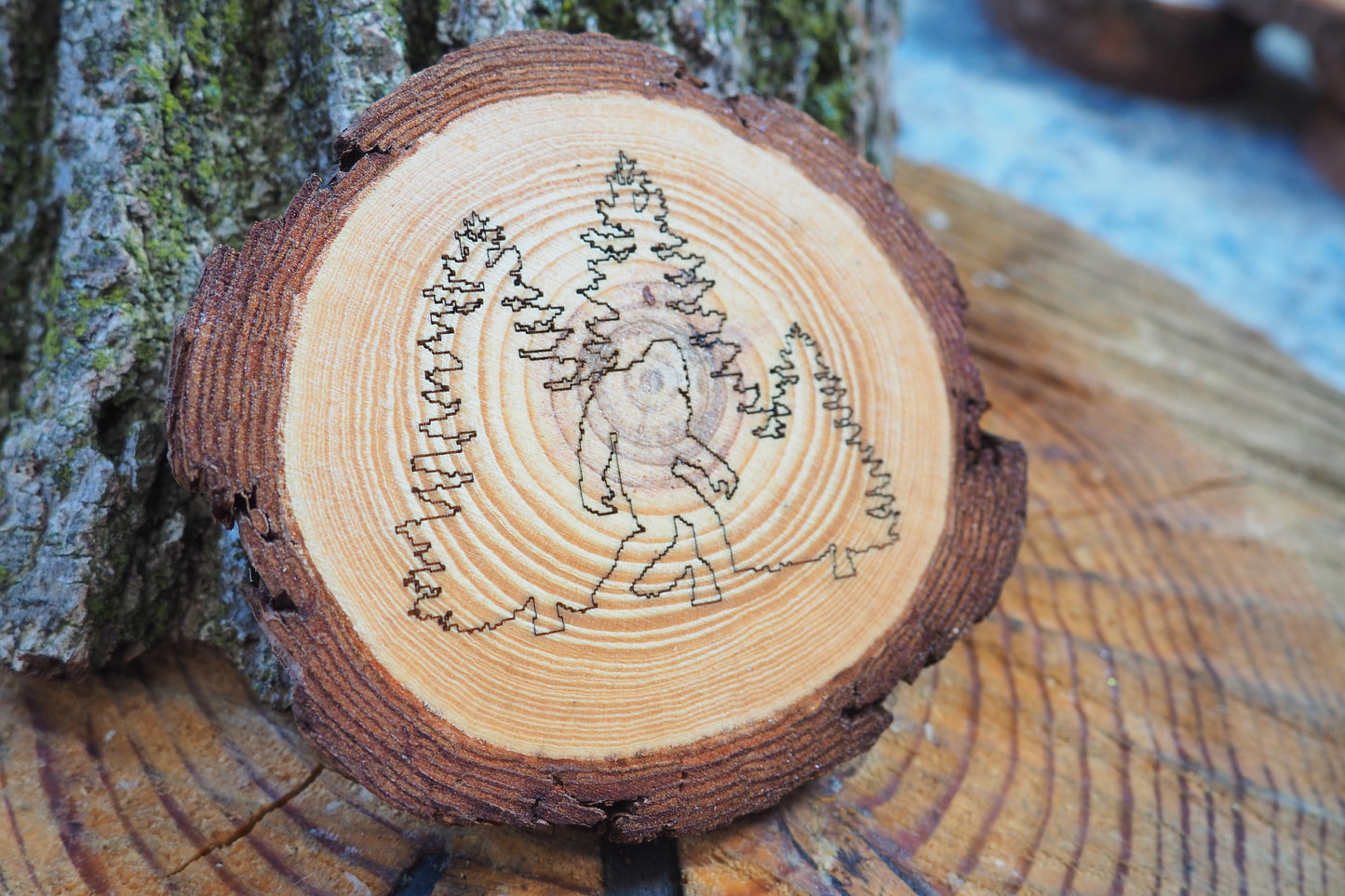 "In the Woods" Coasters - 4pc