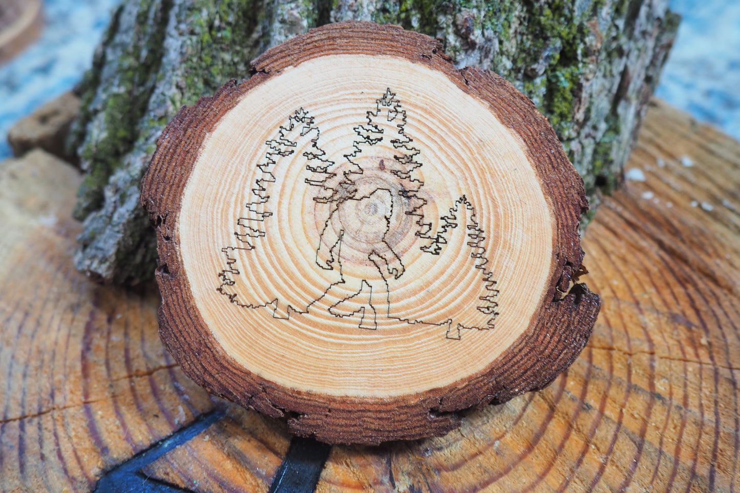 "In the Woods" Coasters - 4pc