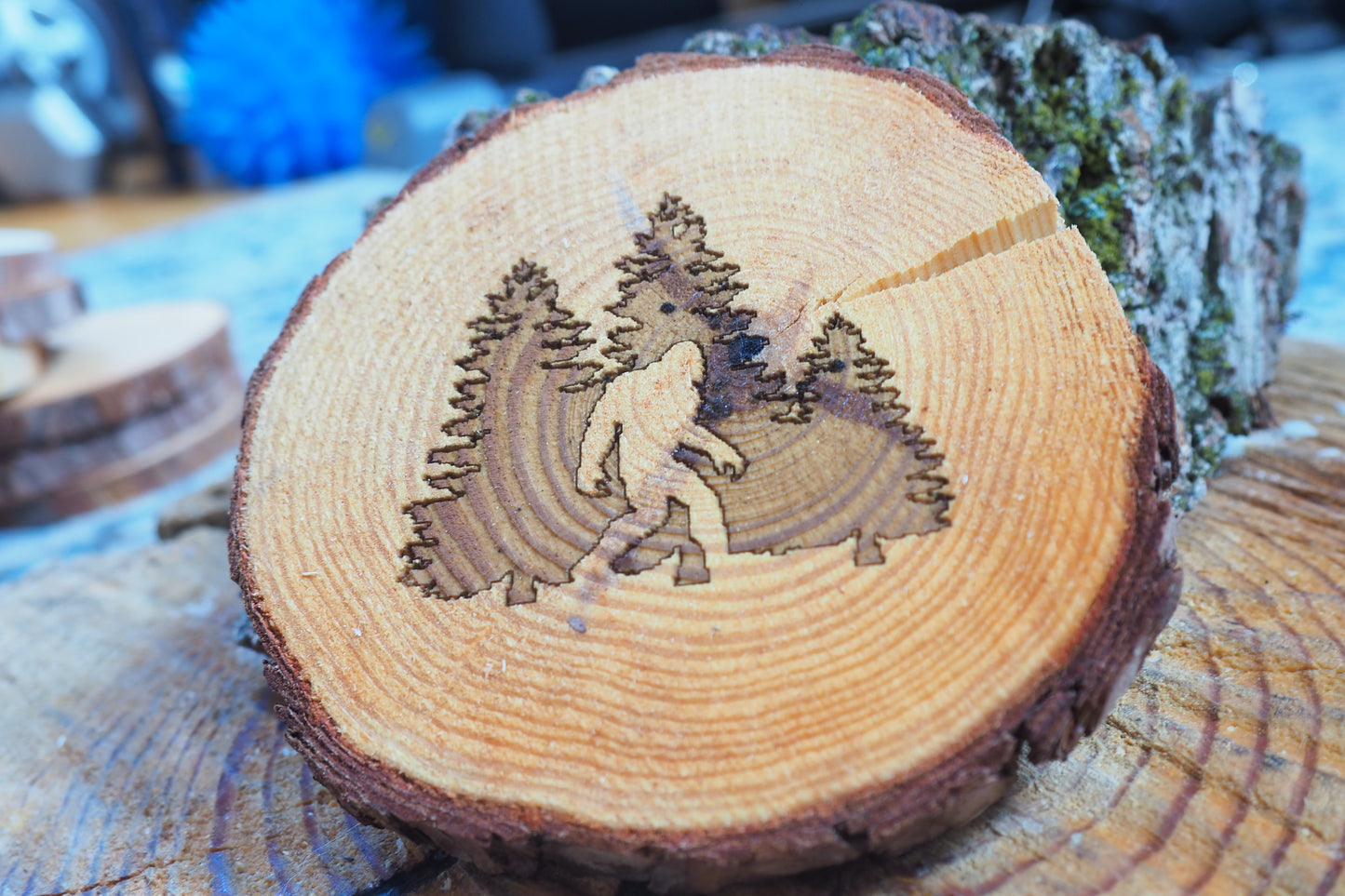 "In the Woods" Coasters - 4pc